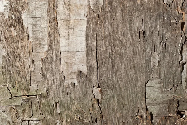 Textura Tábua Madeira Velha Madeira Contraplacada Suja Arranhada — Fotografia de Stock