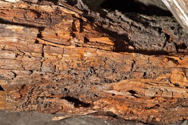 Eski ahşap tahta dokusu. Kirli ve tırmalanmış tahta.