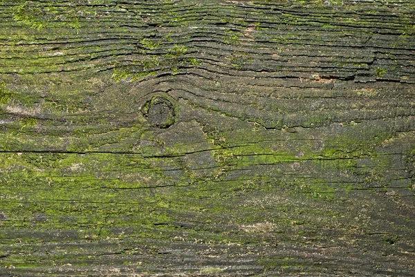 Текстура Старой Деревянной Доски Доска Зеленкой Царапинами — стоковое фото