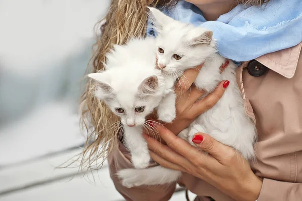 Mädchen Mit Zwei Weißen Flauschigen Kätzchen Den Händen Frau Wärmt — Stockfoto