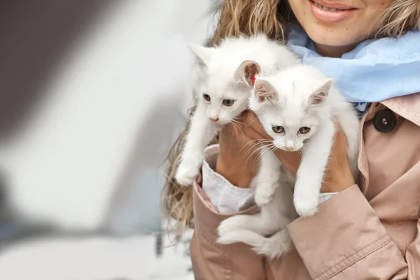 Mädchen Mit Zwei Weißen Flauschigen Kätzchen Den Händen Frau Wärmt — Stockfoto