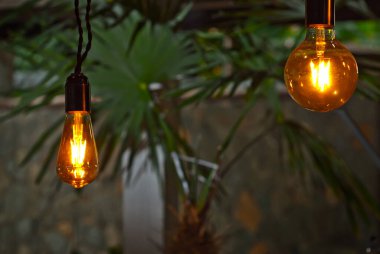 Bir tasarım elementi olarak sarı ampuller. Arka planda yeşillikler ve saksılar var. İç tasarım için düzenName.