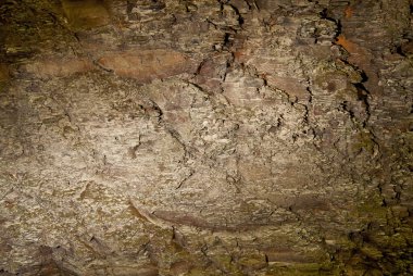 Taş dokusu yakın. Çatlak ve çamurlu taş. Kayalarda bir sürü küçük taş ve çatlak var..