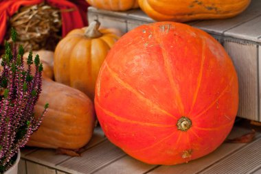 Samanlıkta olgun bir balkabağı. Cadılar Bayramı süsü olarak turuncu balkabağı. Samanlı, kumaşlı ve sebzeli fotoğraf alanı..