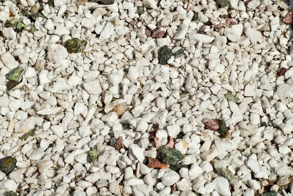 Sistemas Drenaje Pequeñas Piedras Drenaje Jardines Para Plantas Árboles Piedras — Foto de Stock