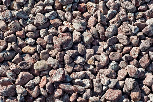 Sistemas Drenaje Pequeñas Piedras Drenaje Jardines Para Plantas Árboles Piedras — Foto de Stock
