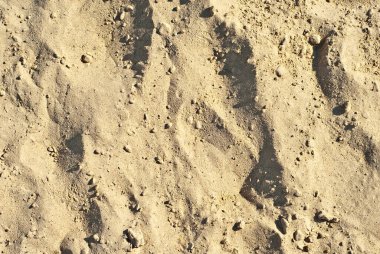 Sarı kum dokusu yakın. Küçük taşlı kirli kum.