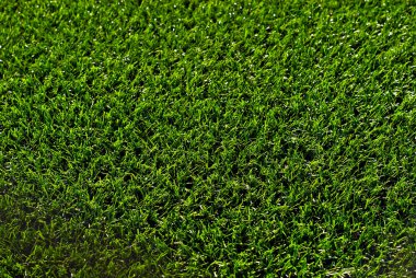 Futbol sahası dokusu yakın. Stadyumda ot var. Spor sahaları için iyi biçilmiş çimenler.