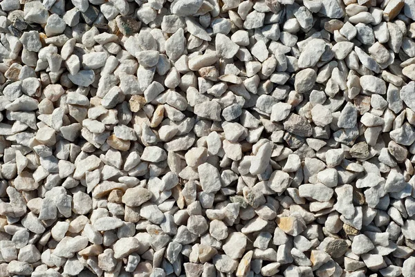 Drainage Systems Small Pebbles Garden Drainage Plants Trees White Stones — Stock Photo, Image