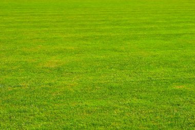 Futbol sahası dokusu yakın. Stadyumda ot var. Spor sahaları için iyi biçilmiş çimenler.