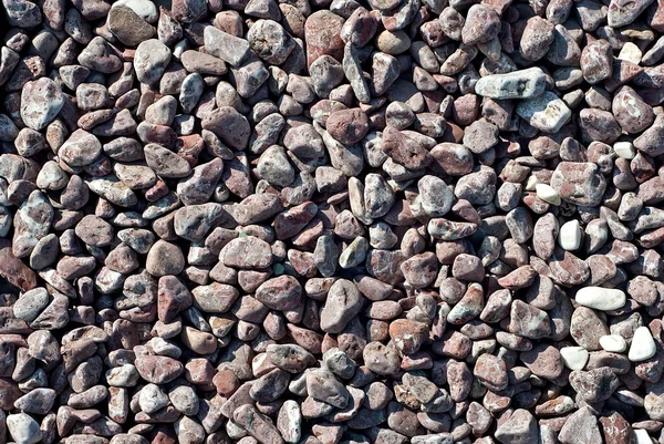 Скачать картинки Камни и цветы, стоковые фото Камни и цветы в хорошем ...