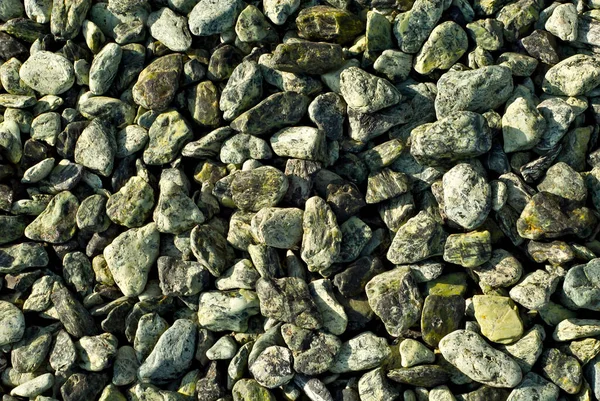 Sistemas Drenagem Pequenos Seixos Drenagem Jardim Para Plantas Árvores Pedras — Fotografia de Stock