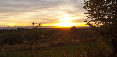 Doğada gün batımı. Gökyüzü renkli renklerle parlıyor. Ön planda ağaçların ve çalıların siluetleri. 