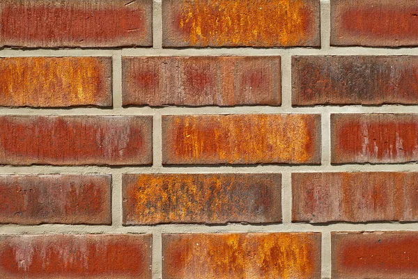 砖墙的剥落 新的砖头 展览上展示了墙壁或栅栏的样品 棕色的砖块关上了 — 图库照片