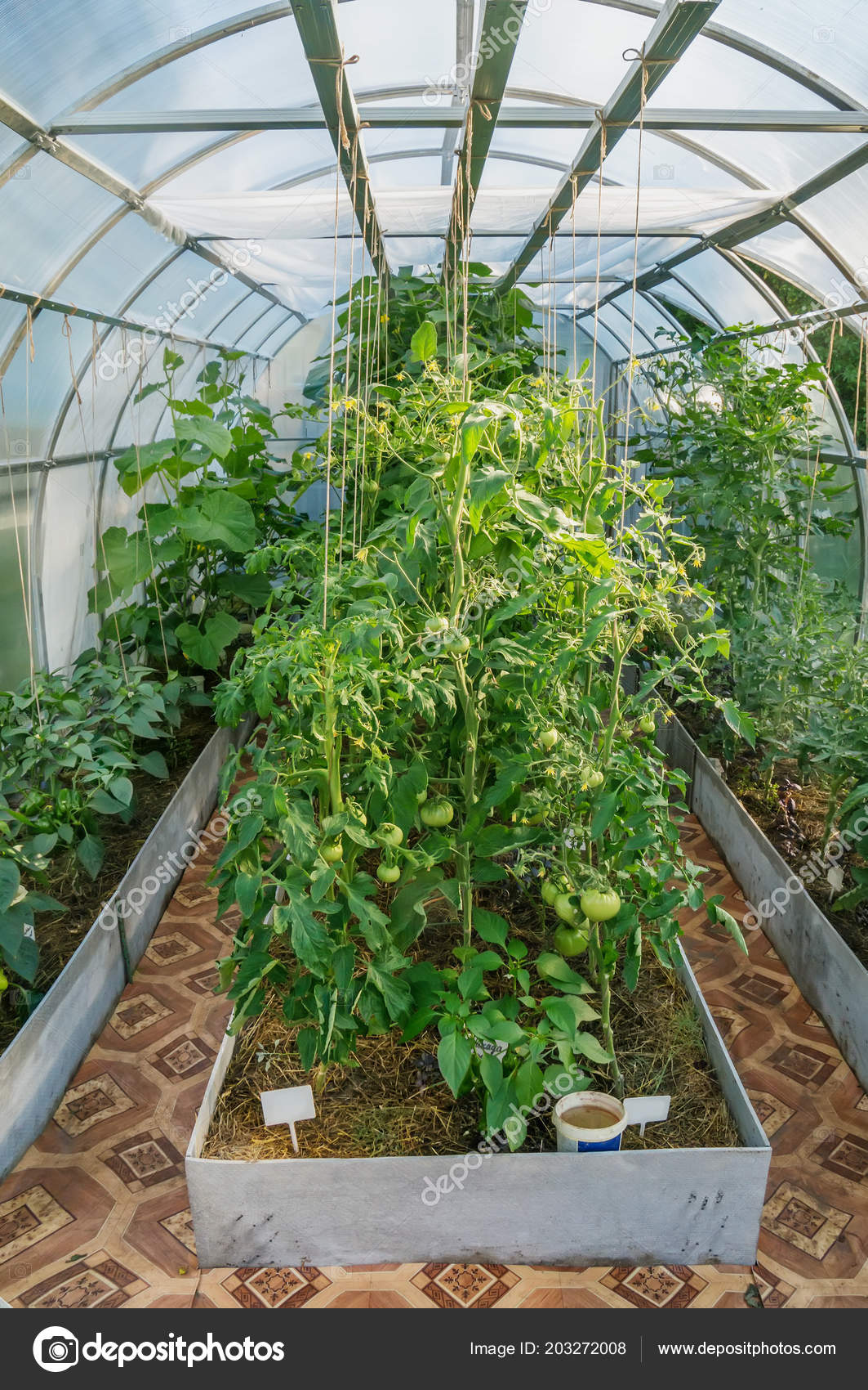 Greenhouse Made Plastic Growing Green Vegetables City Garden Stock Greenhouse Made Plastic Growing Green Vegetables City Garden Stock Photo