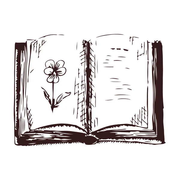 Livro aberto com desenho de viola gravura ilustração vetorial. Imagem desenhada à mão preto e branco — Vetor de Stock