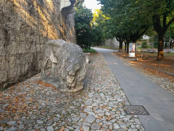 Italy Brescia September 2017 View Ancient Lion Sculpture Castle Brescia — Stock Photo, Image