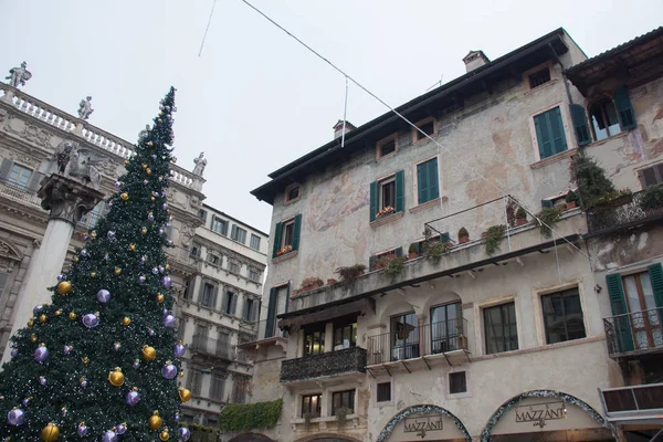 Italy Verona December 2017 View New Year Tree Mazzanti House — Stock Photo, Image