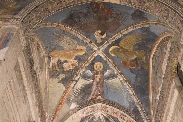 Teto afrescos Quatro evangelistas na igreja superior San Fermo Maggiore em Verona, Veneto, Itália . — Fotografia de Stock