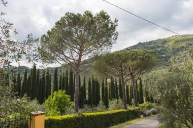 Tipik Toskana manzara, arka planda tepeler, yeşil ağaçlar ve bulutlar ile İtalya.