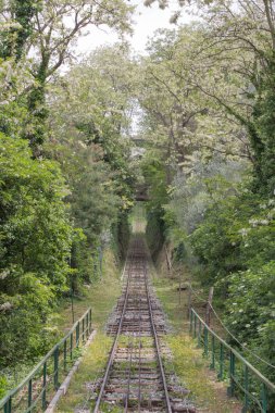 Montecatini Terme ve Montecatini Alto arasındaki yeşil ağaçlardan geçen demiryolu, Toskana, İtalya.