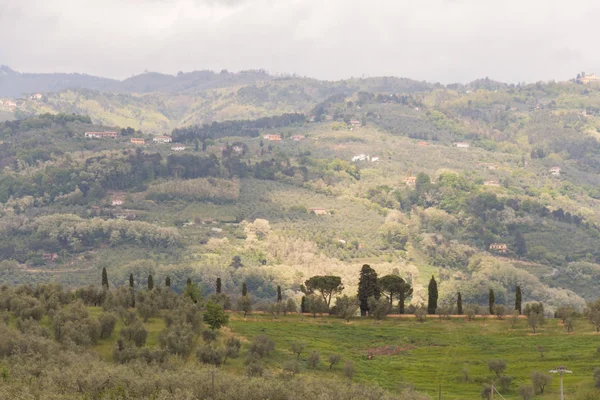Paysage typique de la Toscane avec collines et arbres verts, Italie . — Photo