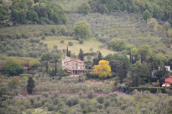 Typical Tuscany landscape with hills, green trees and mansion, Italy. — Stock Photo, Image