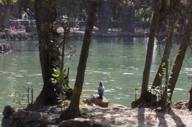 Ağaçların altında bir güvercin su adge gölgeler.