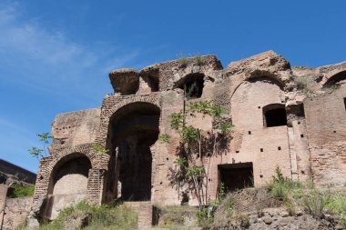 Domus Severiana Palatine Tepesi'nde, Roma, Lazio, İtalya.