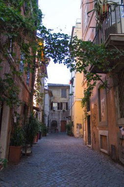 Trastevere bölgesinde tipik sokak, Roma, Lazio, İtalya.