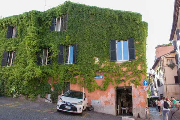 Una calle con un edificio cubierto de plantas verdes excepto ventanas . — Foto de Stock