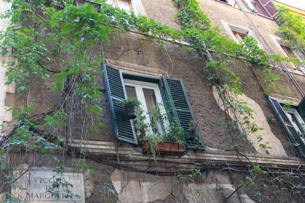 Una antigua muralla con ventanas y plantas que crecen alrededor . — Foto de Stock