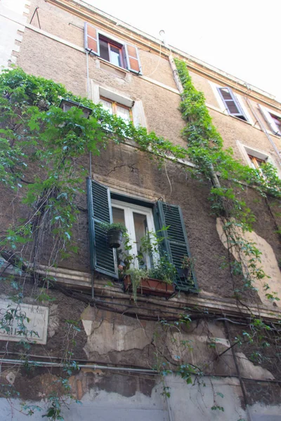 Un vieux mur de bâtiment avec des fenêtres et des plantes qui poussent autour . — Photo