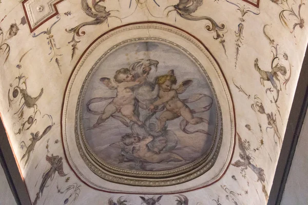 Frammento della volta affrescata di Marco Marchetti di Faenza e Giorgio Vasari a Palazzo Vecchio medievale, Firenze . — Foto Stock