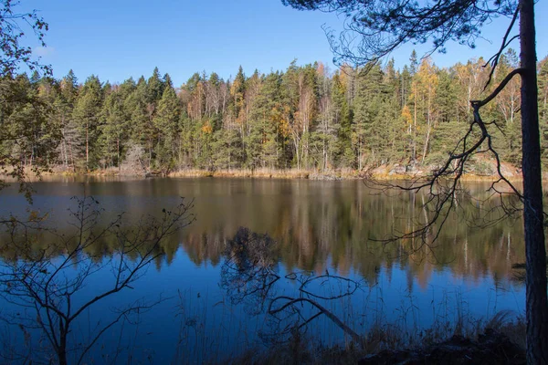 スウェーデンのティレスタ国立公園を背景にした湖と針葉樹の景色 — ストック写真