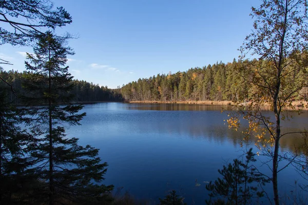 Vista Del Lago Los Árboles Coníferas Fondo Parque Nacional Tyresta — Foto de Stock