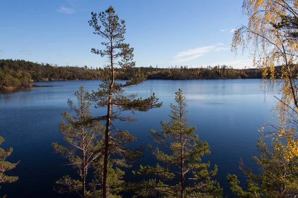 Természet Látképe Tyresta Nemzeti Parkban Svédország — Stock Fotó