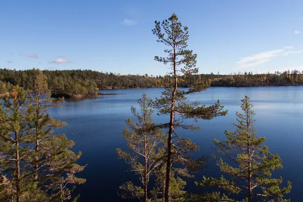 Vista Naturaleza Parque Nacional Tyresta Suecia — Foto de Stock