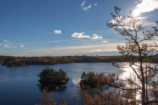 Vista Naturaleza Parque Nacional Tyresta Suecia — Foto de Stock