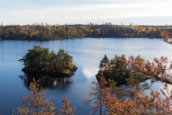 Vista Naturaleza Parque Nacional Tyresta Suecia — Foto de Stock