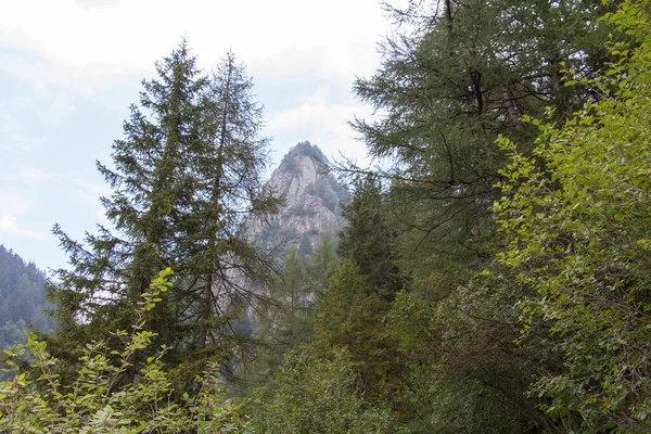 Vue Sommet Montagne Travers Forêt Lombardie Italie — Photo