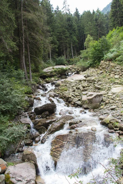 Der Blick Auf Den Schnellen Fluss Durch Den Wald Den — Stockfoto