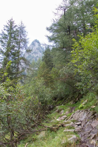 Vista Pico Montanha Através Floresta Lombardia Itália — Fotografia de Stock