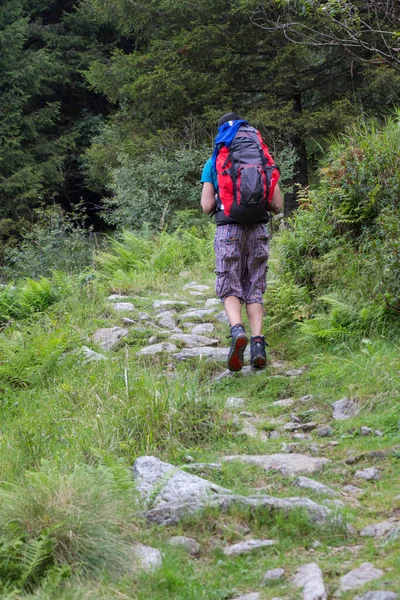 Yürüyüş yolunda yürüyen bir turistin manzarası..