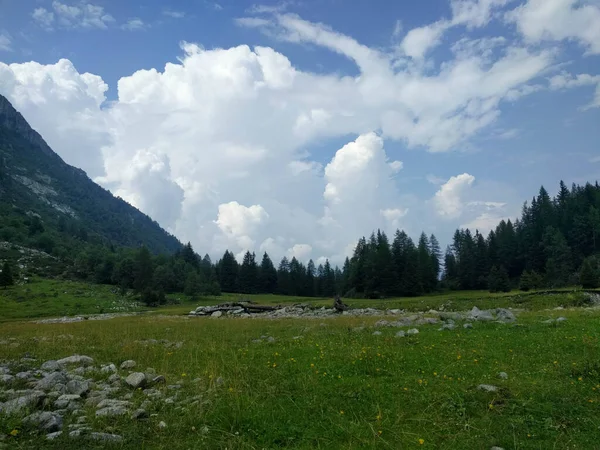 Vista Della Valle Montagna Con Erba Verde Alberi Nuvole Sullo — Foto Stock