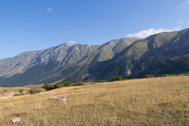 Kuru otlarla kaplı dağ manzarası, arka planda dağ kitlesi ve mavi gökyüzü.