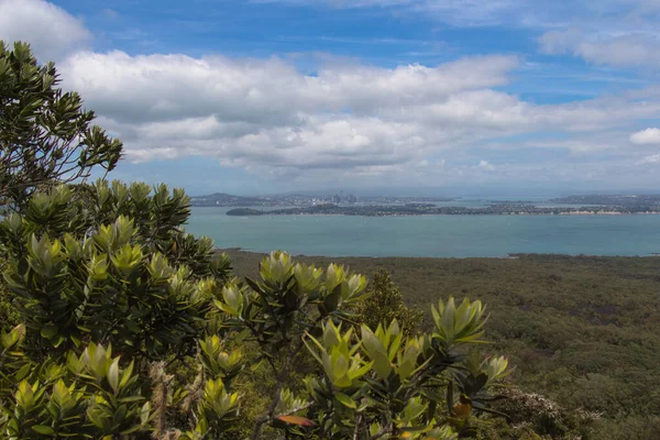 Vista Auckland City Desde Isla Rangitoto Nueva Zelanda — Foto de Stock