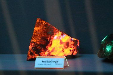 Stockholm, İsveç - 19 Mart 2019: İsveç Kraliyet Doğal Tarih Müzesi 'nde floresan ışığı altındaki İsveç mineralinin 19 Mart 2019 tarihinde Stockholm, İsveç' te görülmesi.