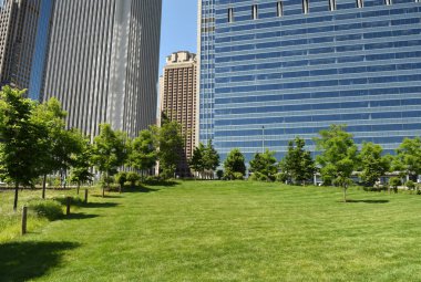 Downtown Chicago Grant park görünümünden