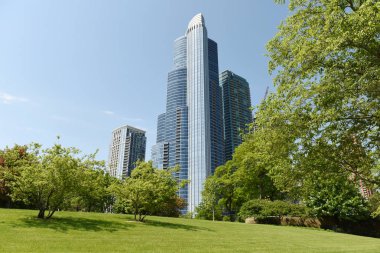 Adam, alan Museum Park ve Chicago gökdelenler, büyük Ivy çim.